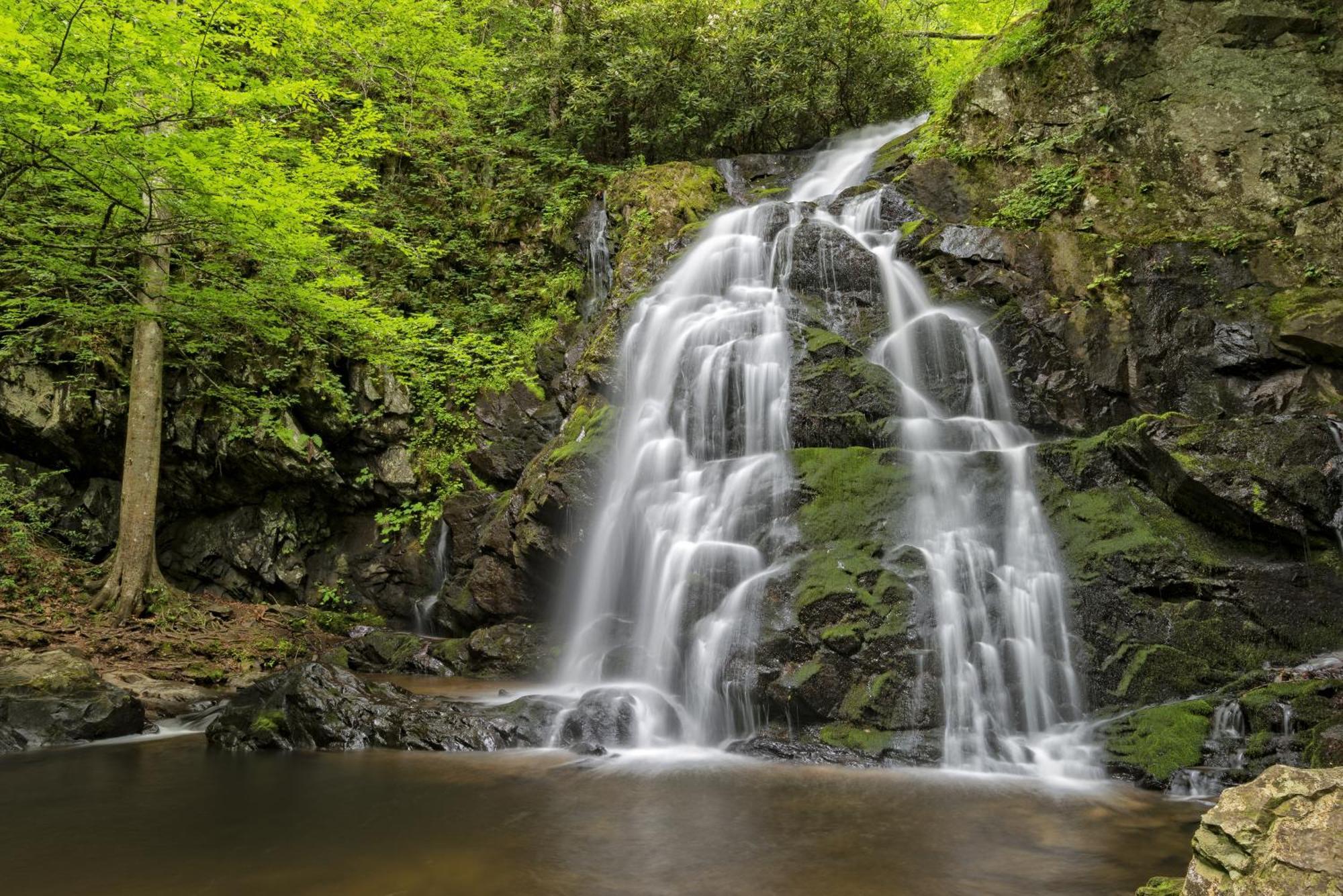 River Breeze, Wifi, 1089 Free Tickets Each Paid Day, Dollywood And More Pigeon Forge Bagian luar foto